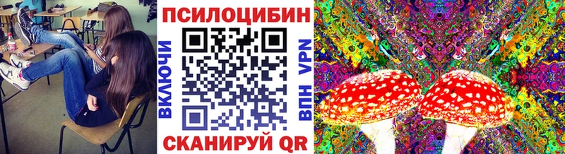 цена   Печора  Псилоцибиновые грибы Magic Shrooms 